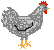 Chicken HD Image Free Clipart