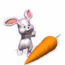 Rabbit Download HQ Clipart