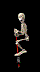 Skeleton HD Image Free Clipart