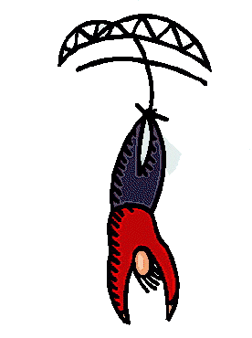 Bungee Jumping Free Transparent Image HD GIF Image