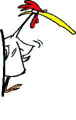 Chicken GIF Image High Quality GIF Image