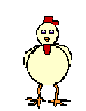 Chicken Free GIF HQ GIF Image
