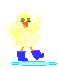 Chicken Free Clipart HQ GIF Image