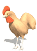 Chicken Download Free Image GIF Image
