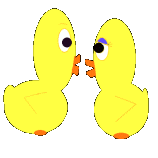 Chicken GIF Image High Quality GIF Image