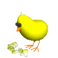 Chicken HQ Image Free GIF Image