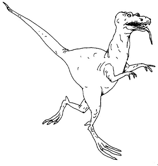 Dinosaur Coloring Pages GIF File HD GIF Image