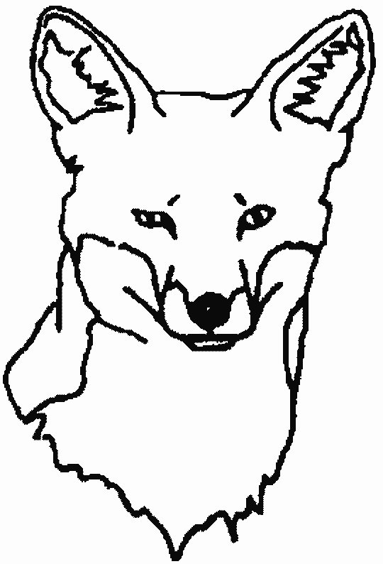 Coloring Fox Pages Free Download GIF HQ GIF Image