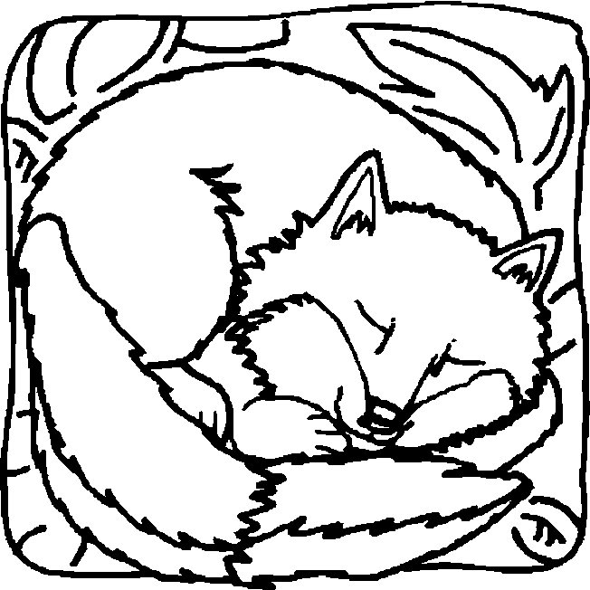 Coloring Fox Pages HQ Image Free GIF Image