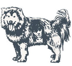 Husky Download HQ GIF Image