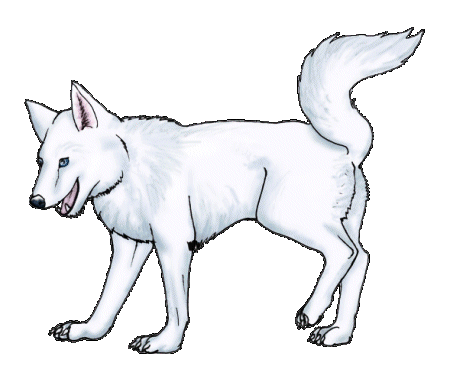 Husky Free Clipart HD GIF Image