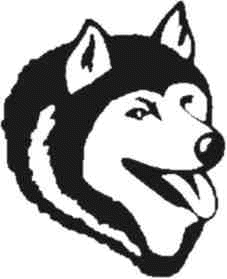 Husky HQ Image Free GIF Image