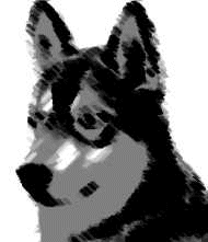 Husky Free Clipart HQ GIF Image