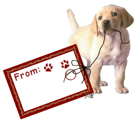 Nameplate Download HQ GIF Image