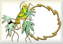 Nameplate Download Free Image GIF Image