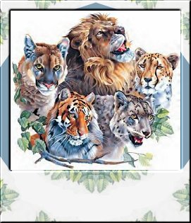 Nameplate Free Download GIF HQ GIF Image