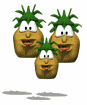 Pineapple GIF Download Free GIF Image