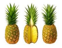 Pineapple GIF Free Photo GIF Image