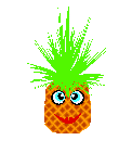 Pineapple Free Photo GIF Image