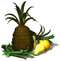 Pineapple Free Download Image GIF Image