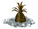 Pineapple HQ Image Free GIF Image