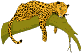 Predator Free Clipart HD GIF Image