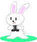 Rabbit Download HQ GIF Image