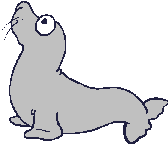 Seal Free HQ Image GIF Image